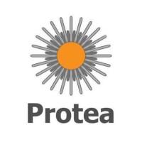 Protea Ltd. Logo