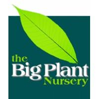 The Big Plant Nursery Logo