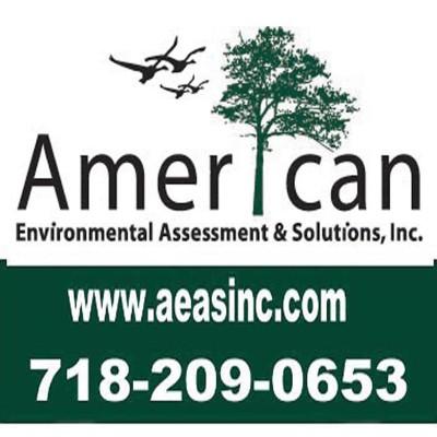 American Environmental Assessment & Solutions, Inc. Logo