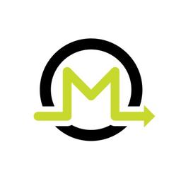 Ms Technology, Inc. Logo
