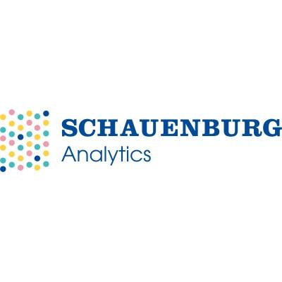 SCHAUENBURG ANALYTICS LTD Logo