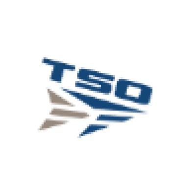 TSO Armor and Training Logo