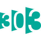 303 Software Logo