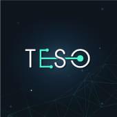 TESO Logo