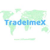 TradeImeX Logo