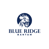 Blue Ridge Bantam's Logo