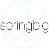 springbig Logo