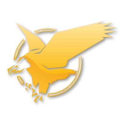 Team Eagle Ltd. Logo