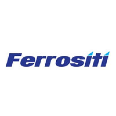 Ferrositi's Logo