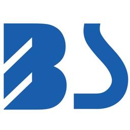 Bonsen electronics Logo