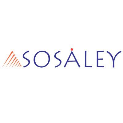 SOSALEY TECHNOLOGIES Logo
