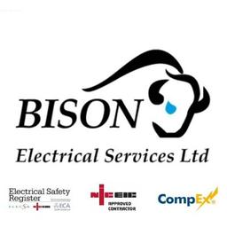 BISON ELECTRICAL SERVICES LTD Logo