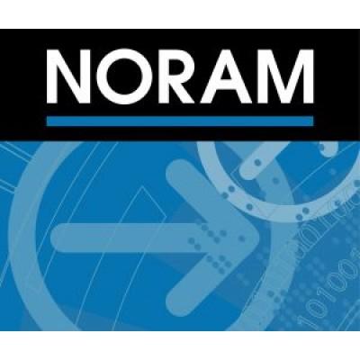 Noram Engineering and Constructors Ltd Logo