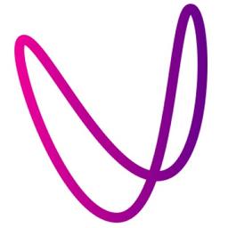 Vizible Logo