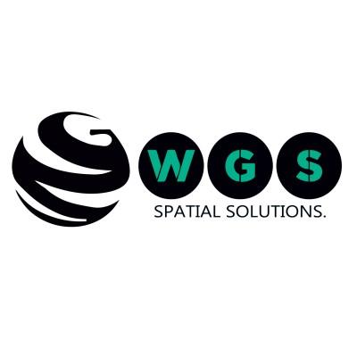 WiseGIS Spatial Solutions Ltd. Logo