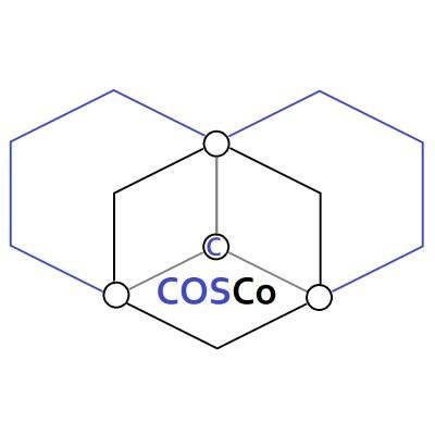 Cosco International Inc Logo