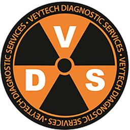 VeyTech Diagnostic Services Logo