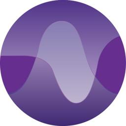Loud Voice Services Logo