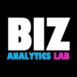 Biz Analytics Lab LLC Logo