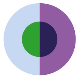 Colours of Data Logo