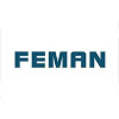 Feman Tooling Co.Limited Logo