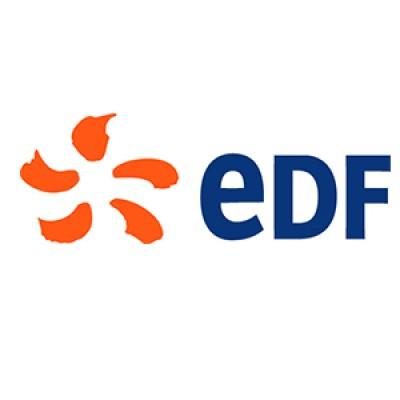 EDF Energy Services Logo