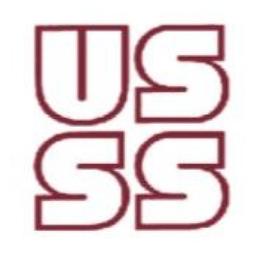 U. S. Security Systems Inc. Logo