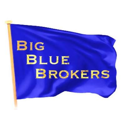 Bigblue Brokers Logo