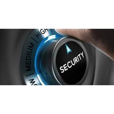 Falcon Security Technologies Logo