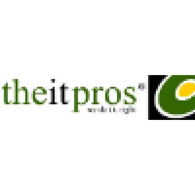 The I.T. Pros Logo