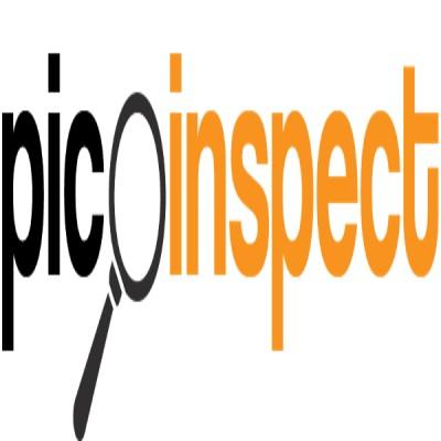 PICOINSPECT Logo