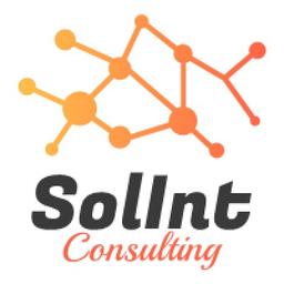 Solint Consulting Logo