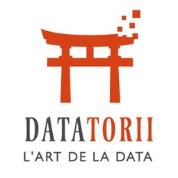 Datatorii Logo