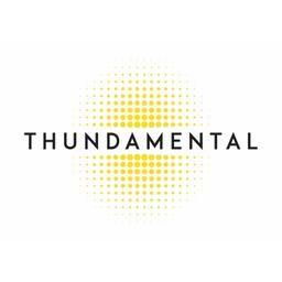 Thundamental (Pty) Ltd Logo