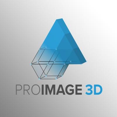 Professional Image 3D Logo