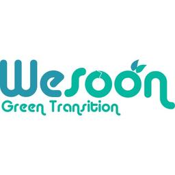 WeSoon Green Transition Logo