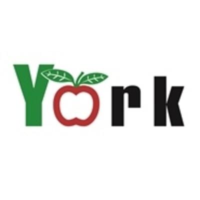 York Imperial Plastics Inc Logo