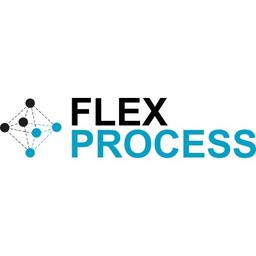 Flex Process Ltd Logo
