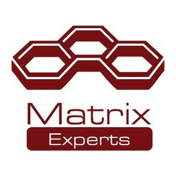Matrix Experts Logo