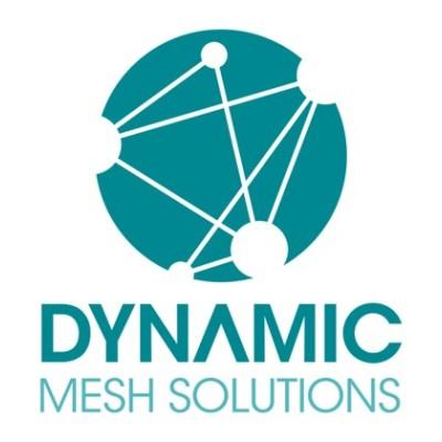 Dynamic Mesh Solutions Logo