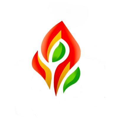 Delphire Inc Logo