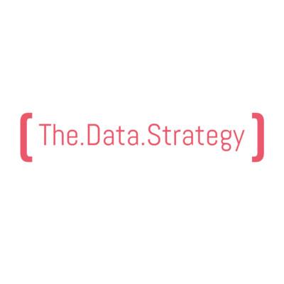 The Data Strategy's Logo