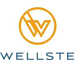 Wellste Aluminum Logo