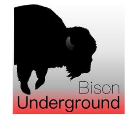 Bison Underground Logo