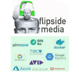 Flipside Digital Media & Data Analytics Logo