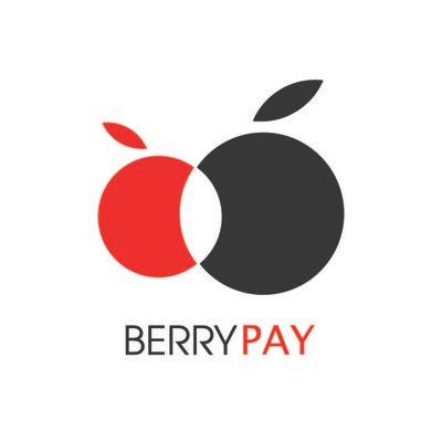 BerryPay Group's Logo