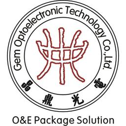 XINXIN GEM Technology Group LLC Logo