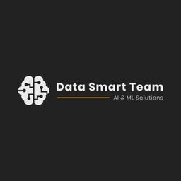 Data Smart Team Logo