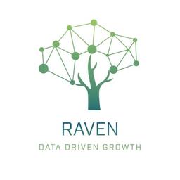 Raven Data Logo