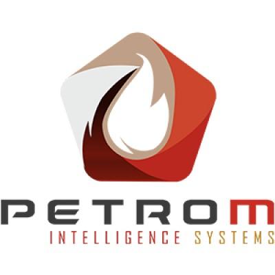PetroM Intelligence Systems Logo